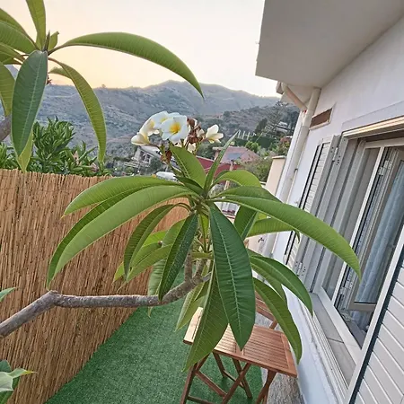 Guest house 