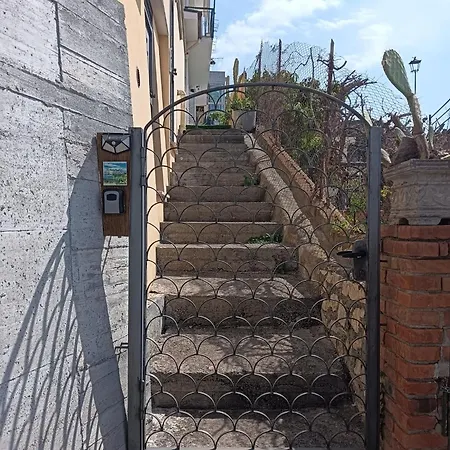 Guest house 